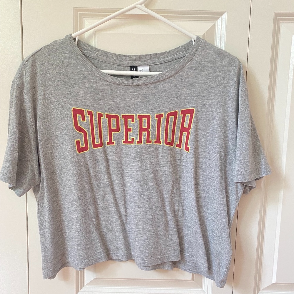 Small H&M Crop Top